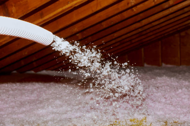 Best Geographic-Specific Insulation Services in Lightstreet, PA