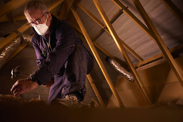 Best Cellulose Insulation in Lightstreet, PA
