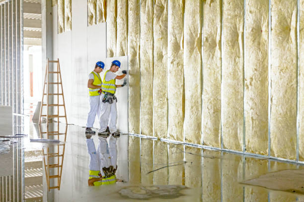 Best Energy Efficiency Insulation in Lightstreet, PA